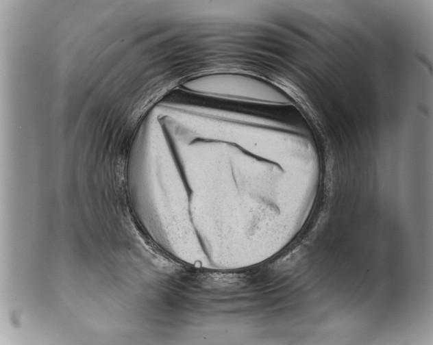 X0000099530849200806131126