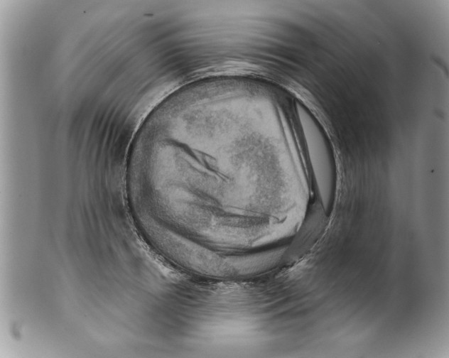 X0000099530850200806131126