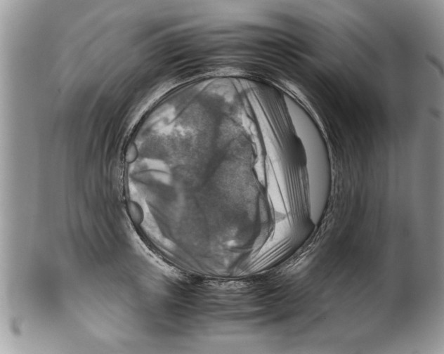 X0000099530851200806131126