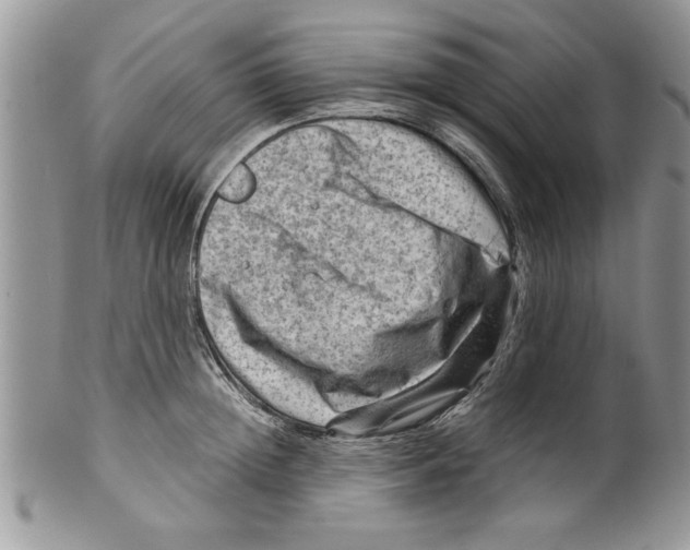 X0000099530852200806131126