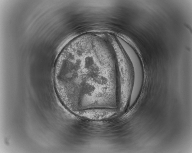 X0000099530855200806131126