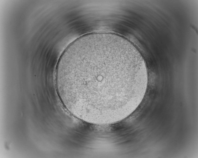 X0000099530856200806131126