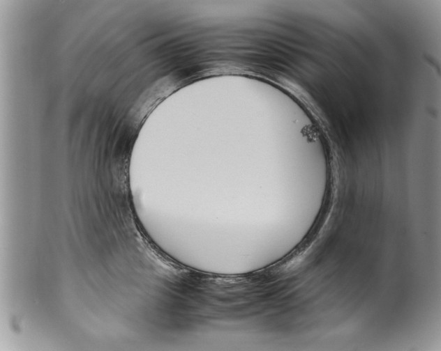 X0000099530857200806131126