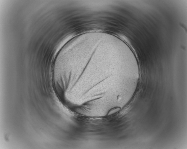 X0000099530859200806131126