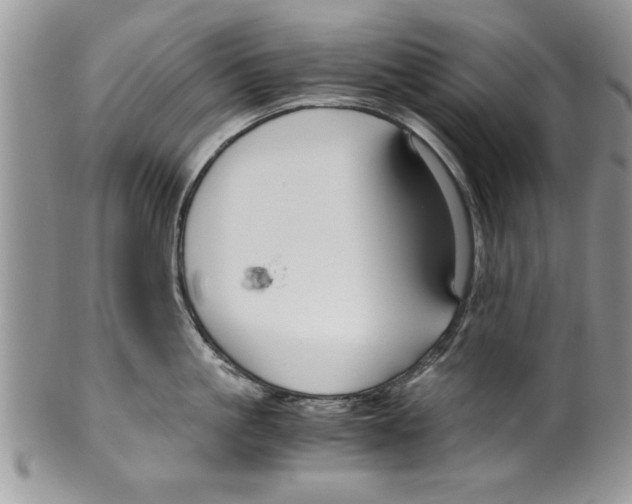 X0000099530861200806131126