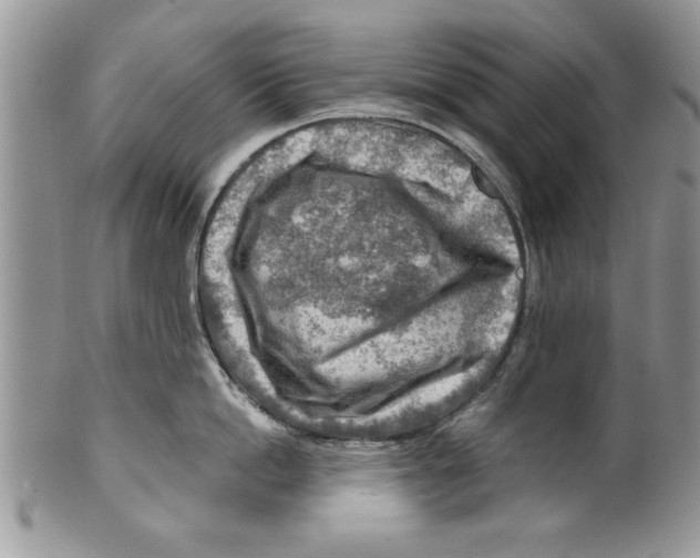 X0000099530862200806131126