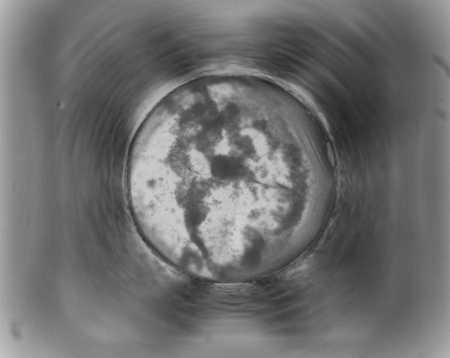 X0000099530863200806131126