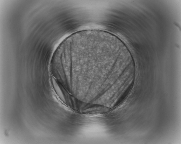 X0000099530864200806131126