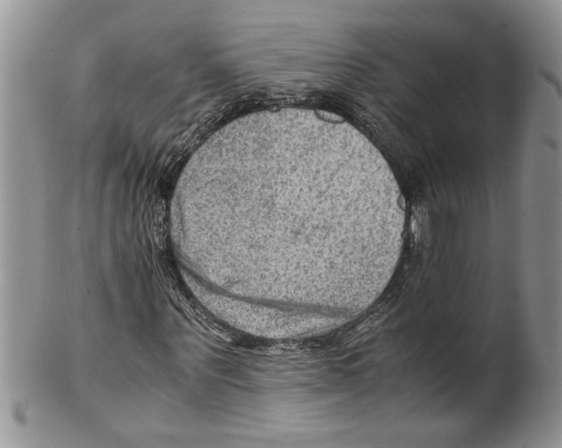 X0000099530867200806131125