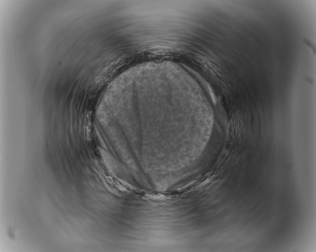 X0000099530868200806131125