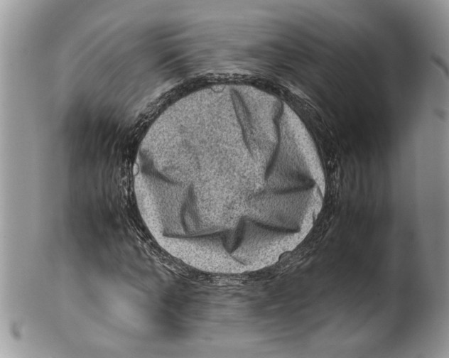 X0000099530870200806131125