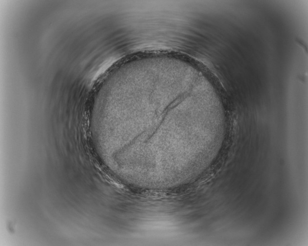 X0000099530871200806131125