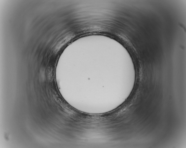 X0000099530873200806131125