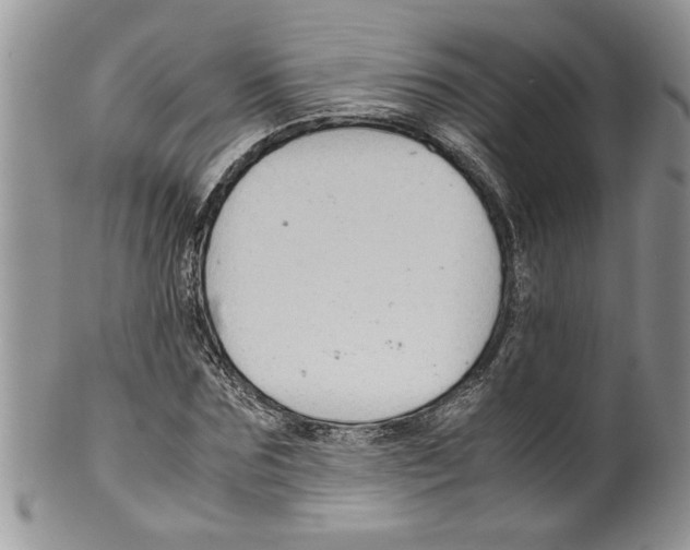 X0000099530875200806131125