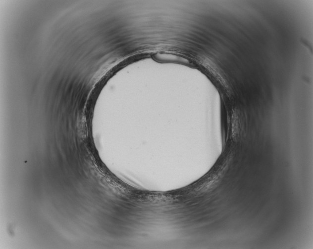 X0000099530876200806131125