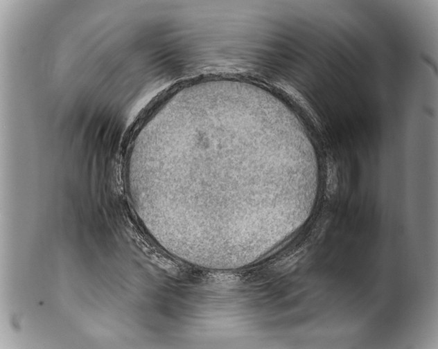 X0000099530878200806131125