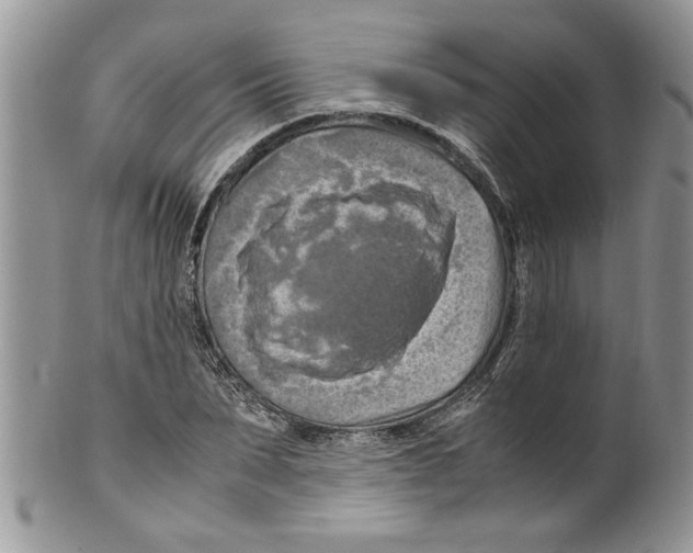 X0000099530879200806131125