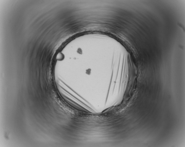 X0000099530880200806131125