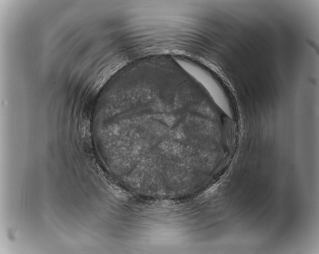 X0000099530881200806131125