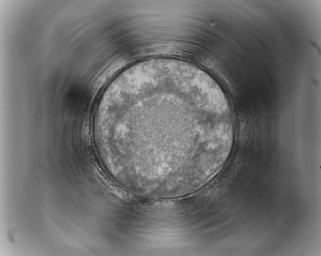 X0000099530882200806131125