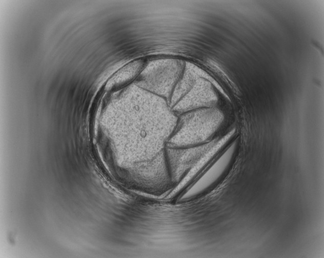 X0000099530884200806131125