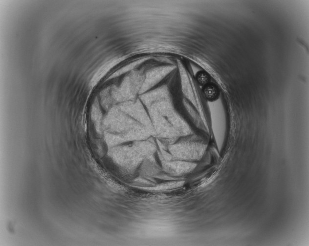 X0000099530885200806131125