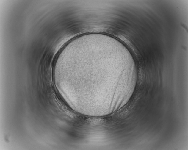 X0000099530886200806131125