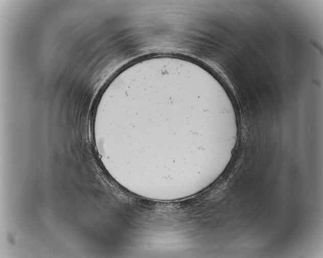 X0000099530887200806131125