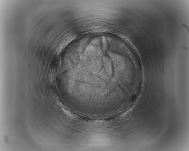 X0000099530889200806131125