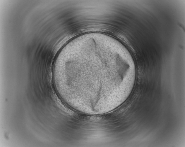 X0000099530890200806131125