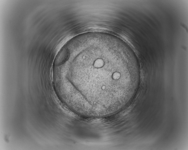 X0000099530891200806131125