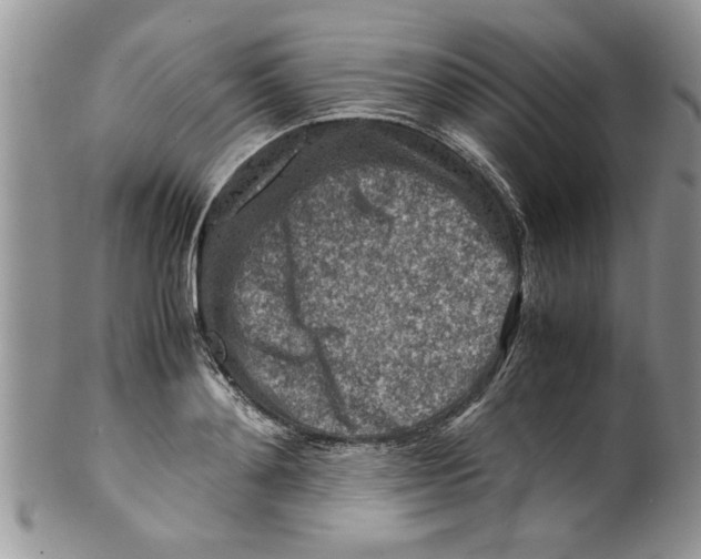 X0000099530892200806131125