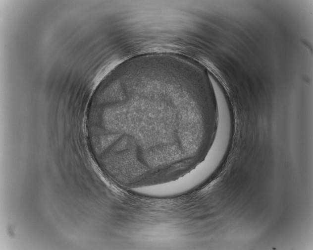 X0000099530893200806131125