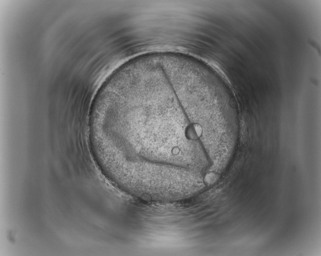 X0000099530895200806131125