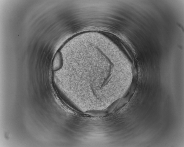 X0000099530896200806131125