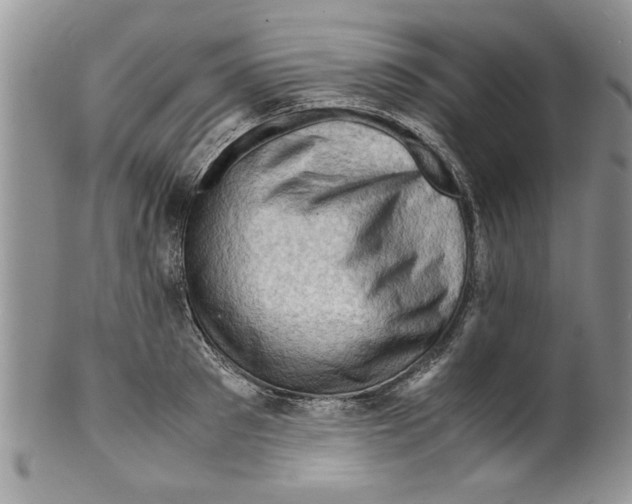 X0000099530897200806131125