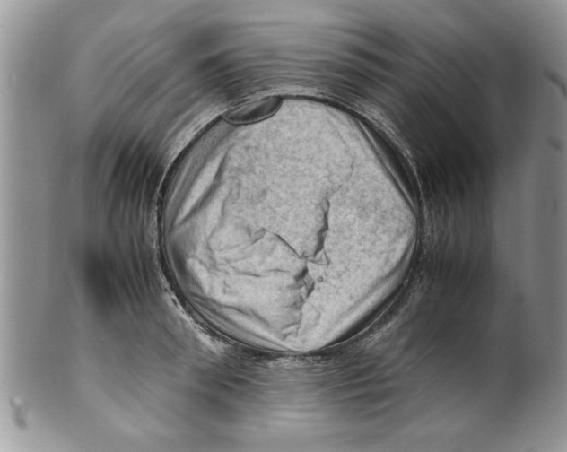 X0000099530898200806131125