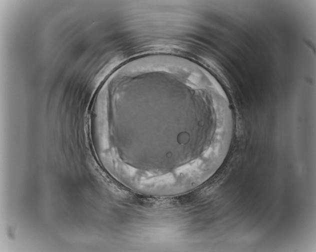 X0000099530899200806131125