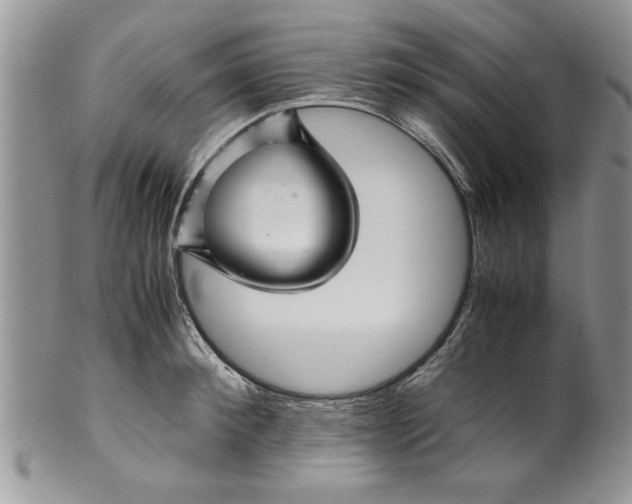 X0000099530900200806131125