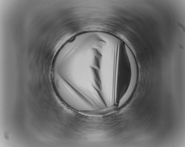 X0000099530901200806131125