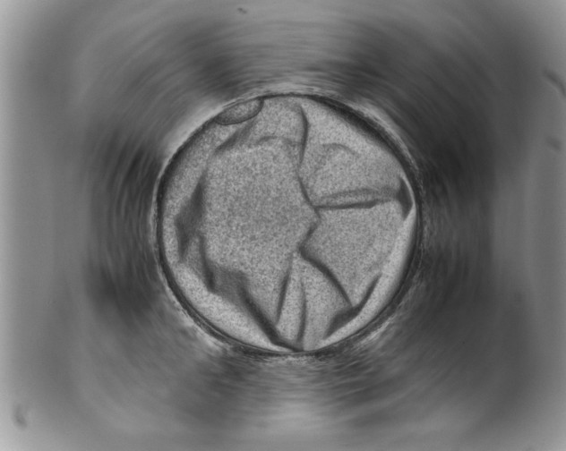 X0000099530902200806131125