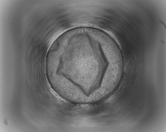 X0000099530903200806131125