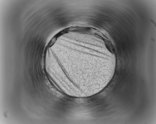 X0000099530904200806131125