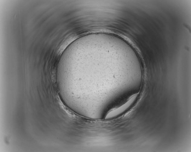 X0000099530905200806131125