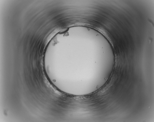 X0000099530906200806131125