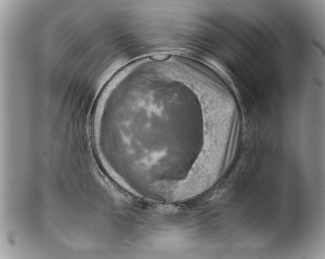 X0000099530907200806131125