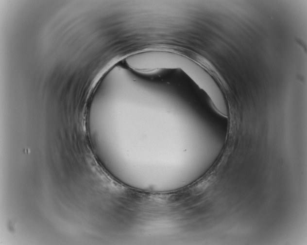 X0000099530908200806131125