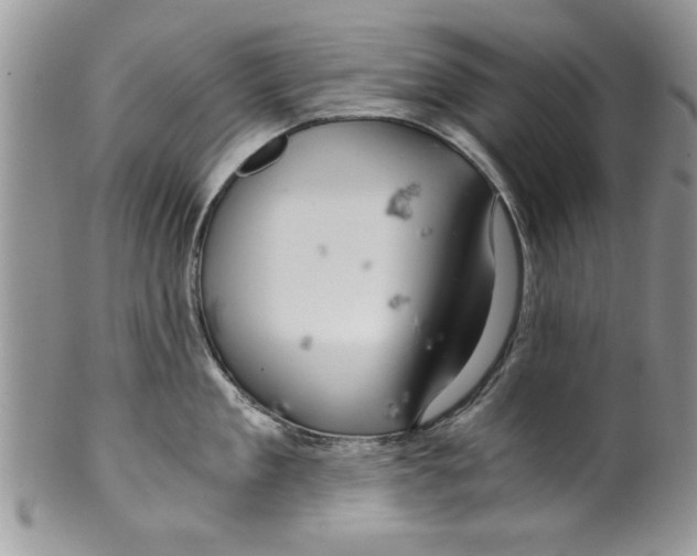 X0000099530909200806131125