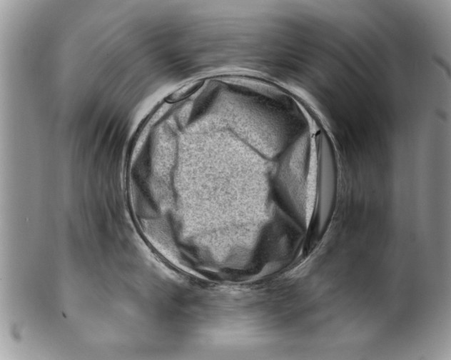 X0000099530910200806131125