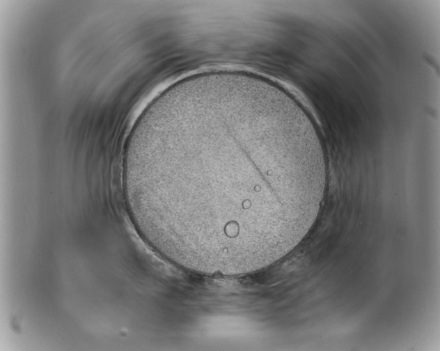 X0000099530911200806131125